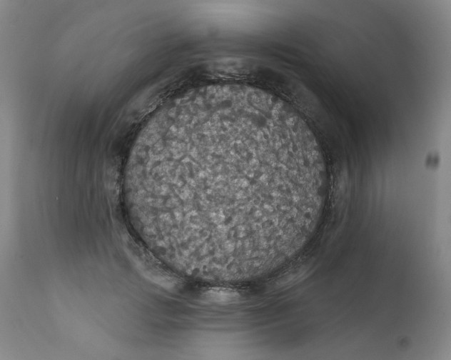 X0000112430749200909041436