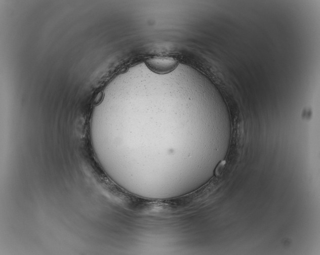 X0000112430750200909041436