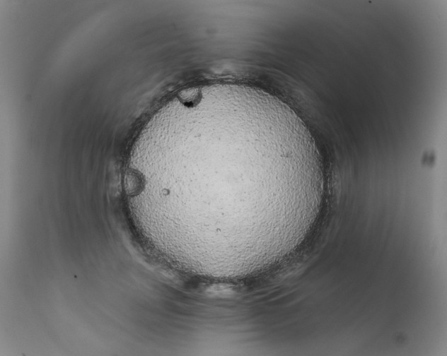 X0000112430751200909041436