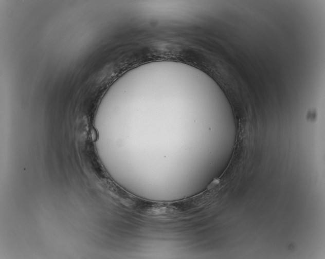 X0000112430752200909041436