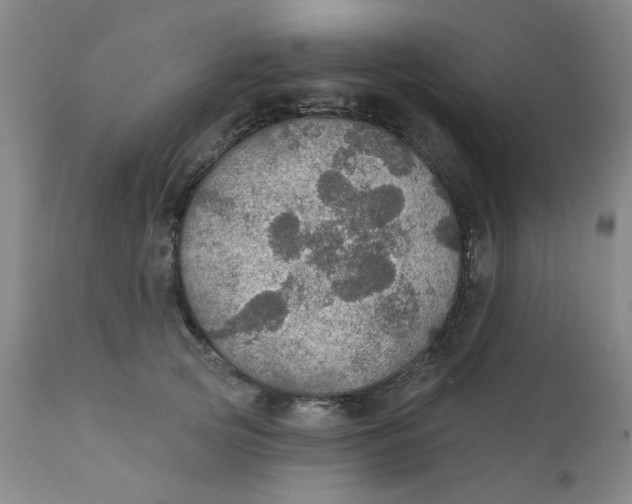 X0000112430753200909041436