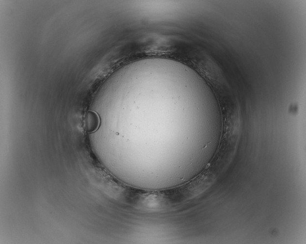 X0000112430755200909041436