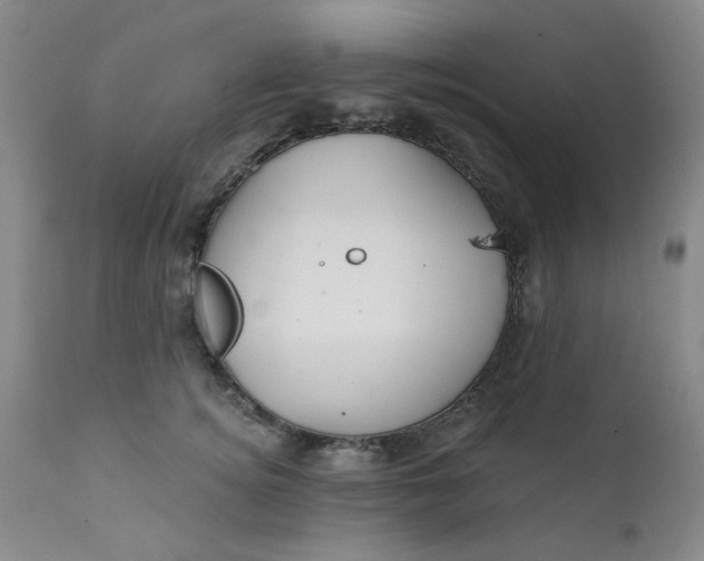 X0000112430756200909041436