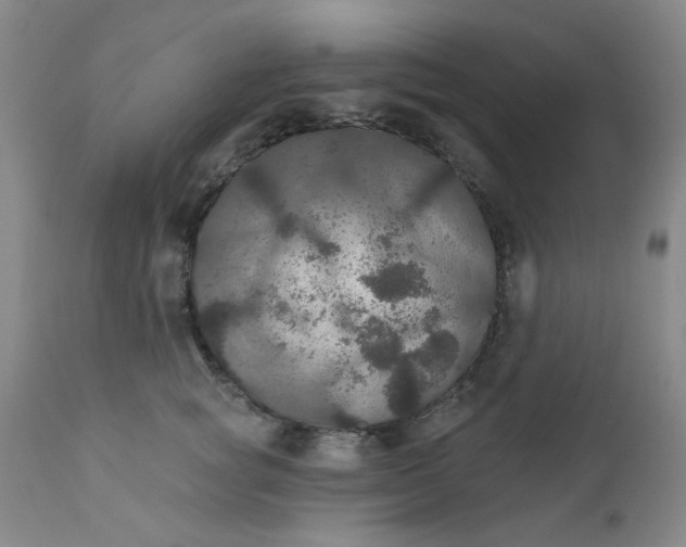 X0000112430757200909041436