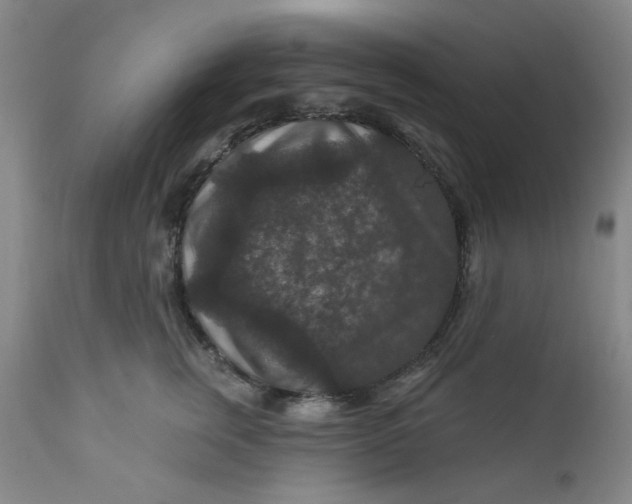 X0000112430759200909041436