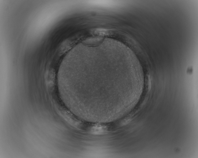 X0000112430760200909041436