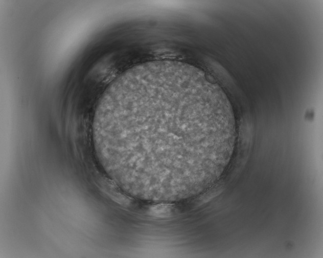 X0000112430761200909041436