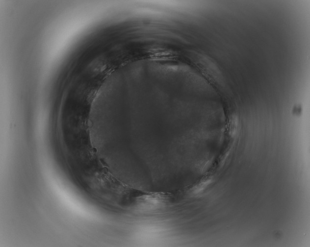 X0000112430763200909041436