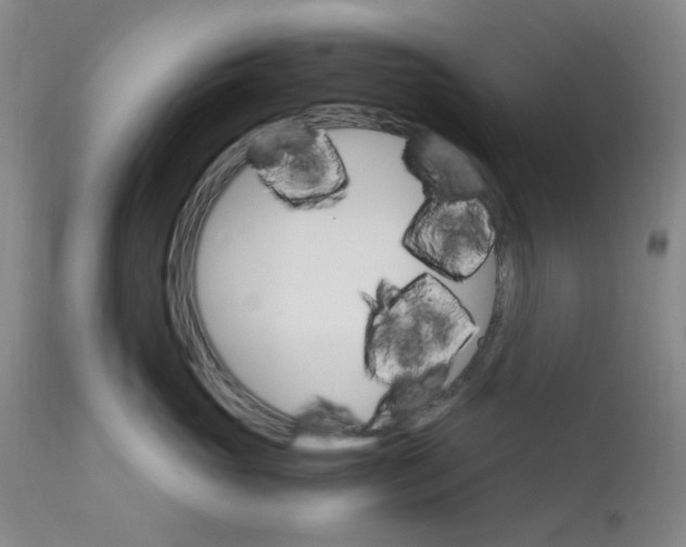 X0000112430765200909041436