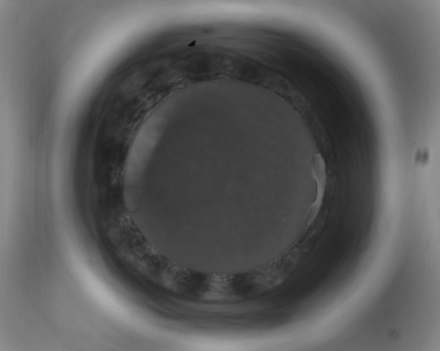 X0000112430766200909041436