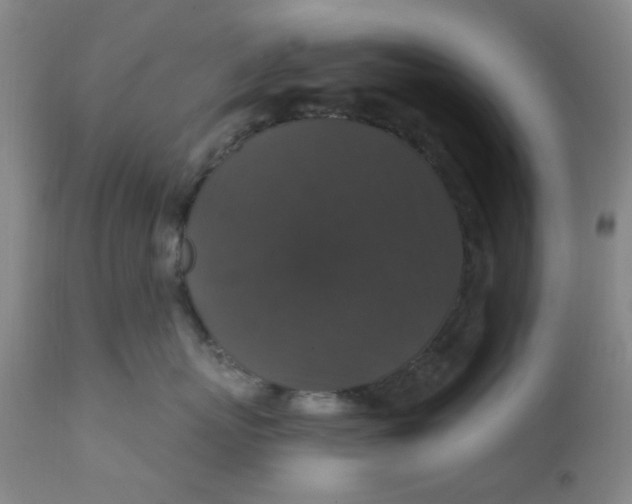 X0000112430767200909041436