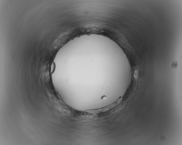 X0000112430771200909041435