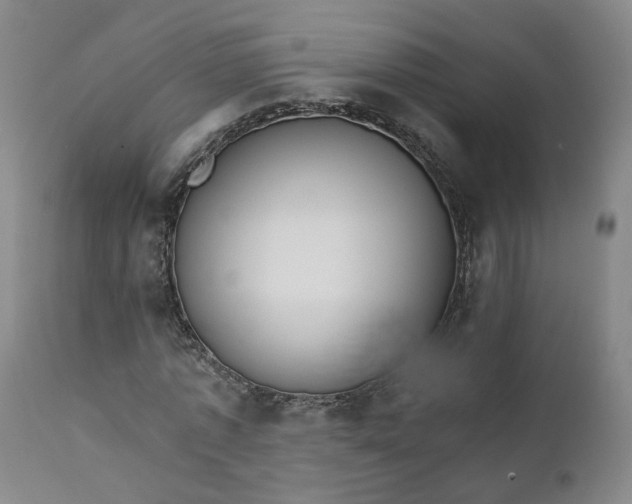 X0000112430773200909041435