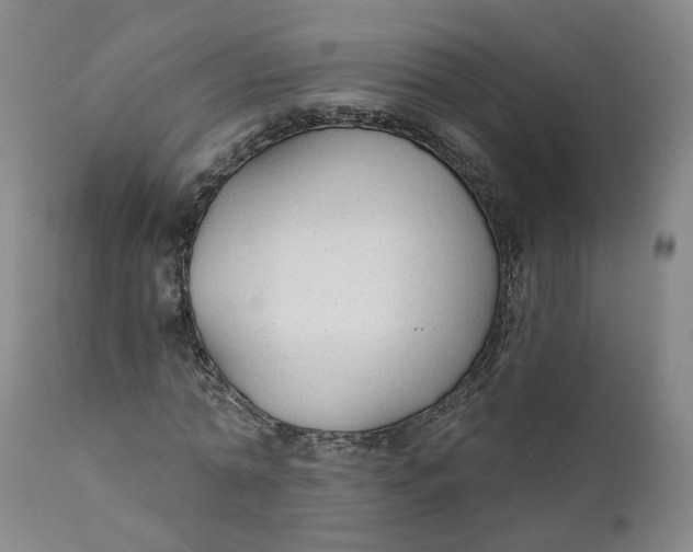 X0000112430774200909041435