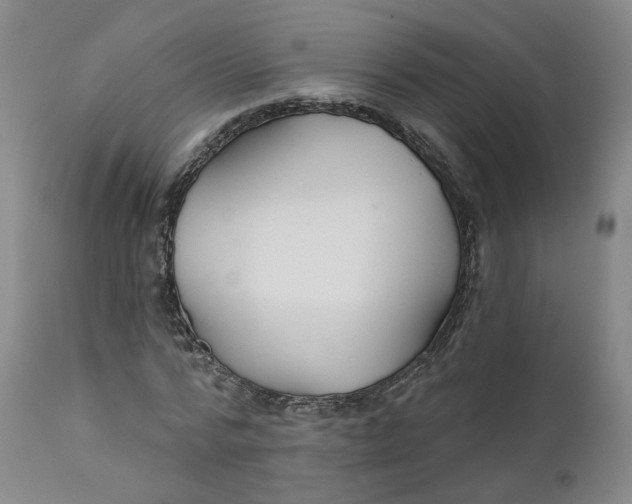 X0000112430776200909041435