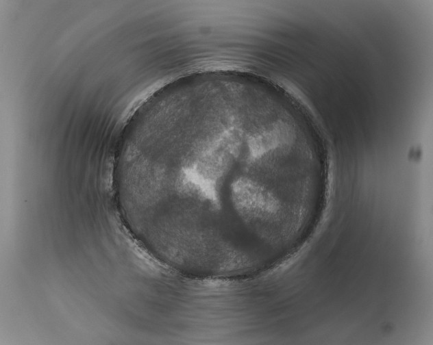 X0000112430777200909041435