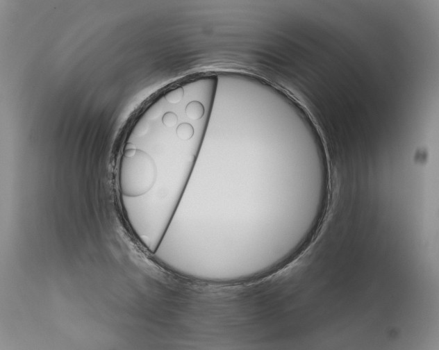 X0000112430779200909041435