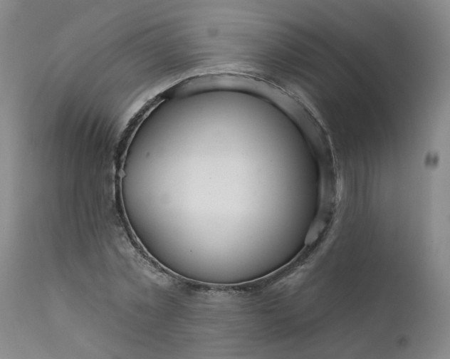 X0000112430781200909041435