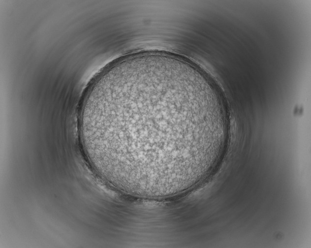 X0000112430782200909041435