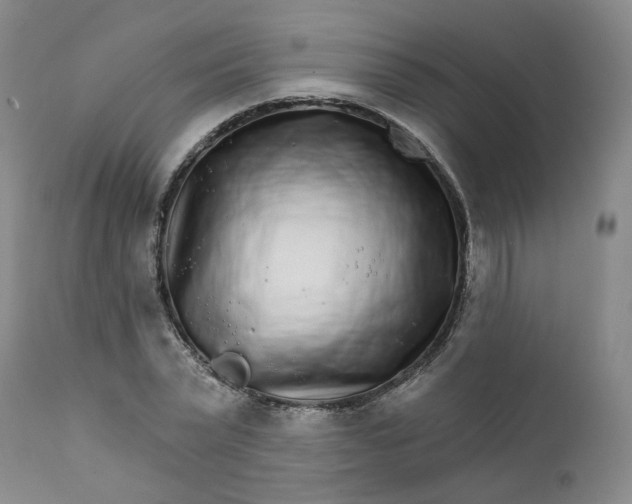 X0000112430783200909041435