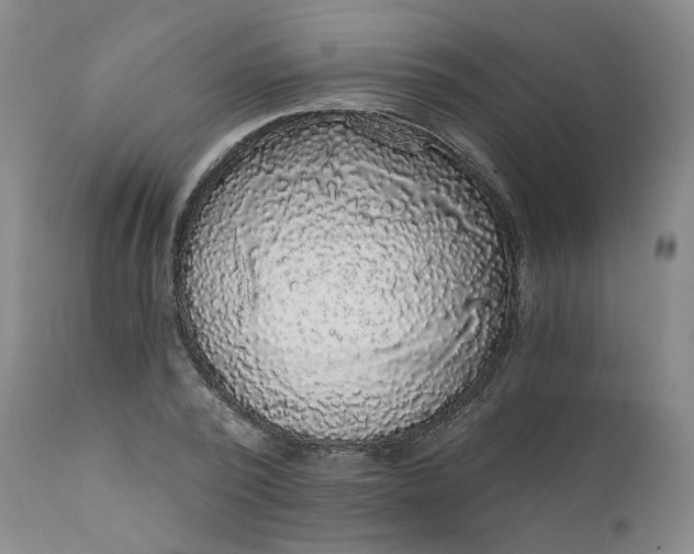 X0000112430784200909041435