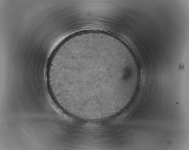 X0000112430788200909041435