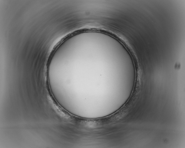 X0000112430791200909041435