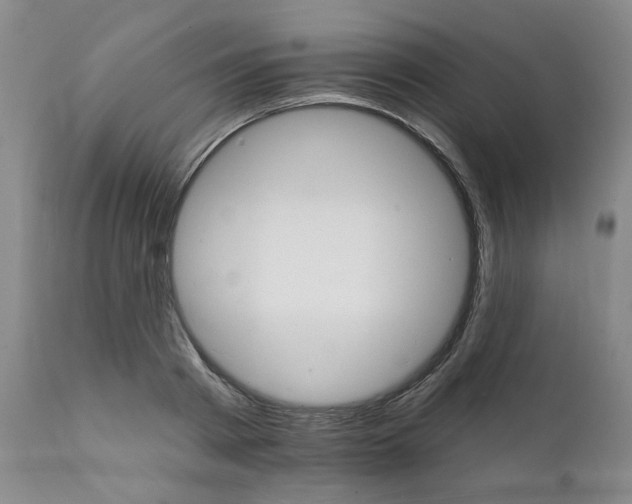 X0000112430793200909041435