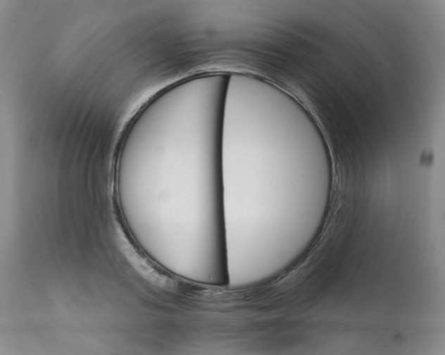 X0000112430795200909041435