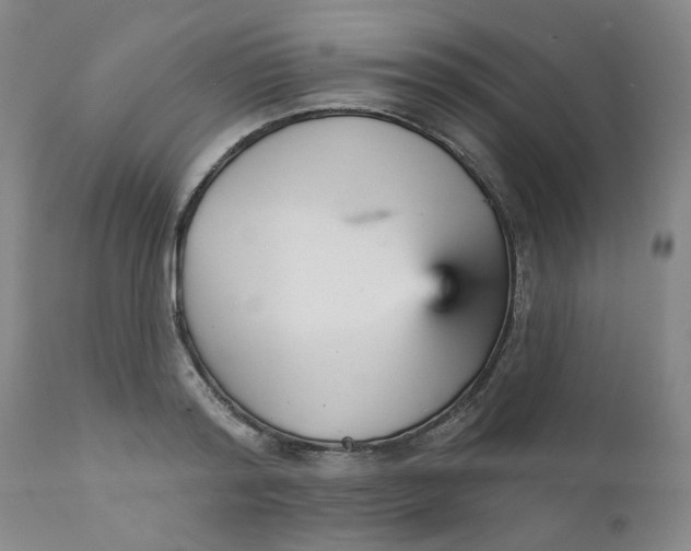 X0000112430796200909041435