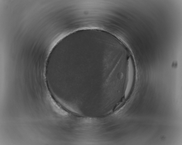 X0000112430797200909041435