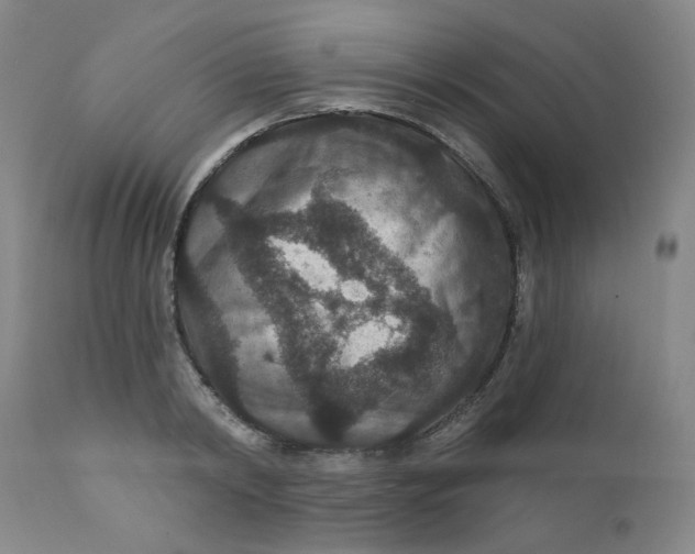 X0000112430798200909041435