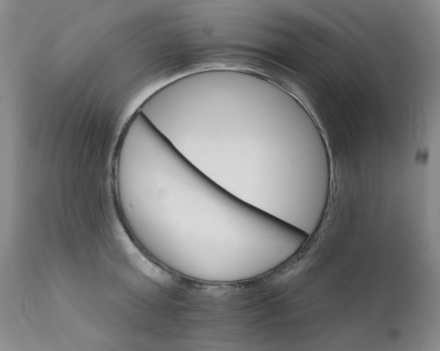 X0000112430803200909041435