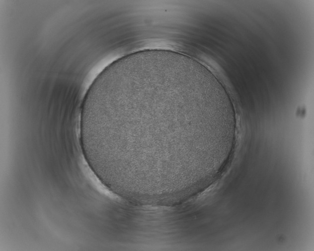 X0000112430804200909041435