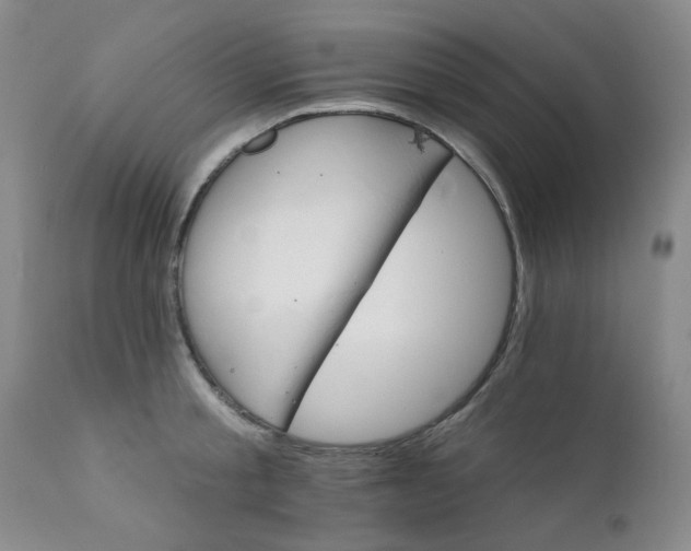 X0000112430805200909041435