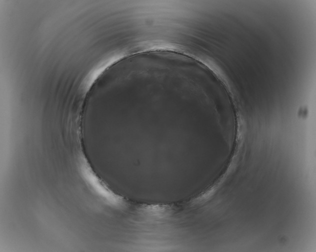 X0000112430806200909041435