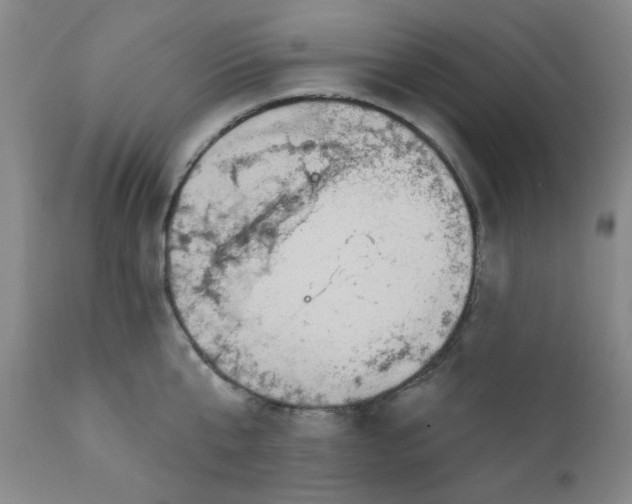 X0000112430807200909041435