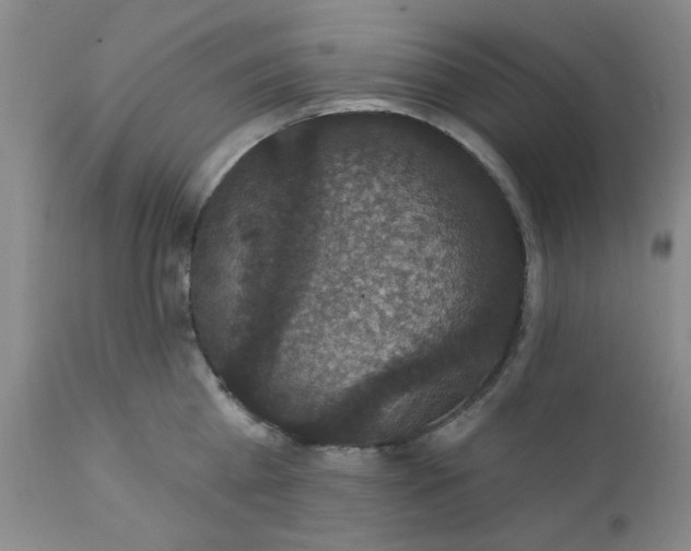 X0000112430809200909041435