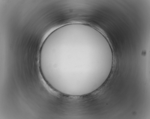 X0000112430811200909041435