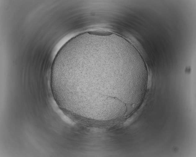 X0000112430812200909041435