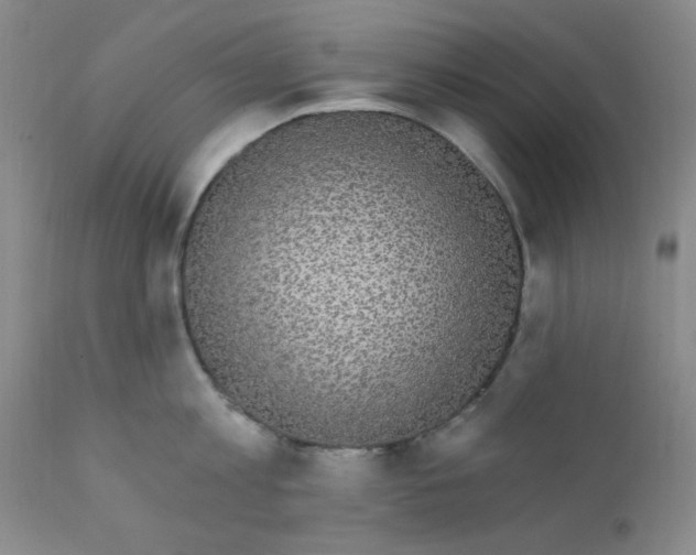 X0000112430813200909041435