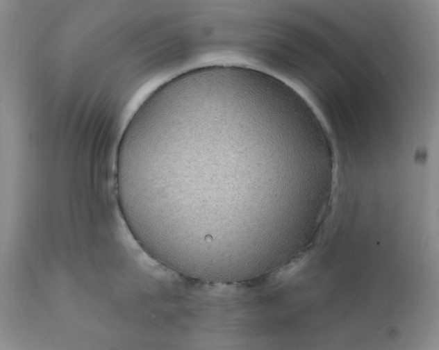 X0000112430815200909041434