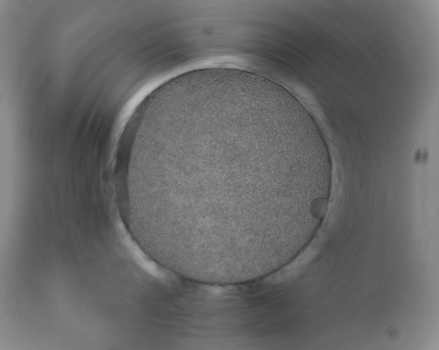 X0000112430816200909041434