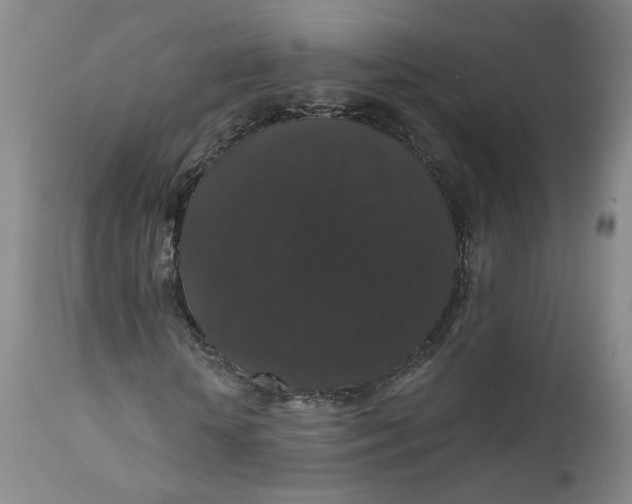 X0000112430818200909041434