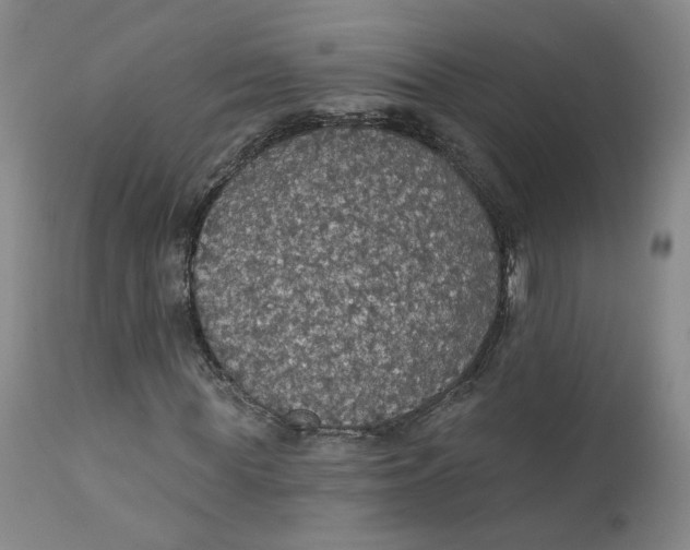 X0000112430819200909041434