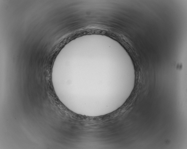 X0000112430821200909041434