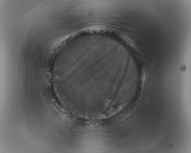 X0000112430822200909041434