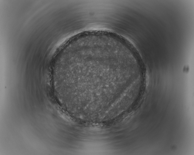 X0000112430823200909041434