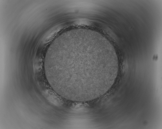 X0000112430824200909041434