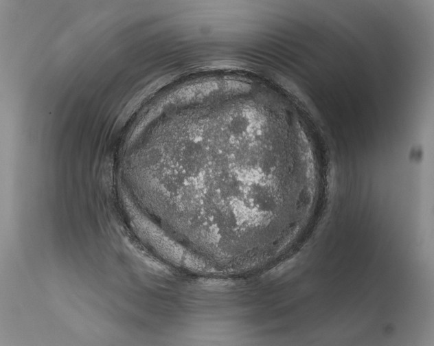 X0000112430825200909041434